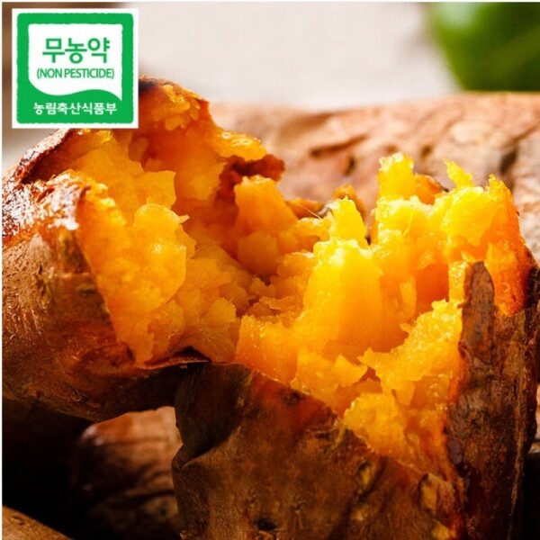 친환경 호박고구마 2kg 5kg 사포닌함유